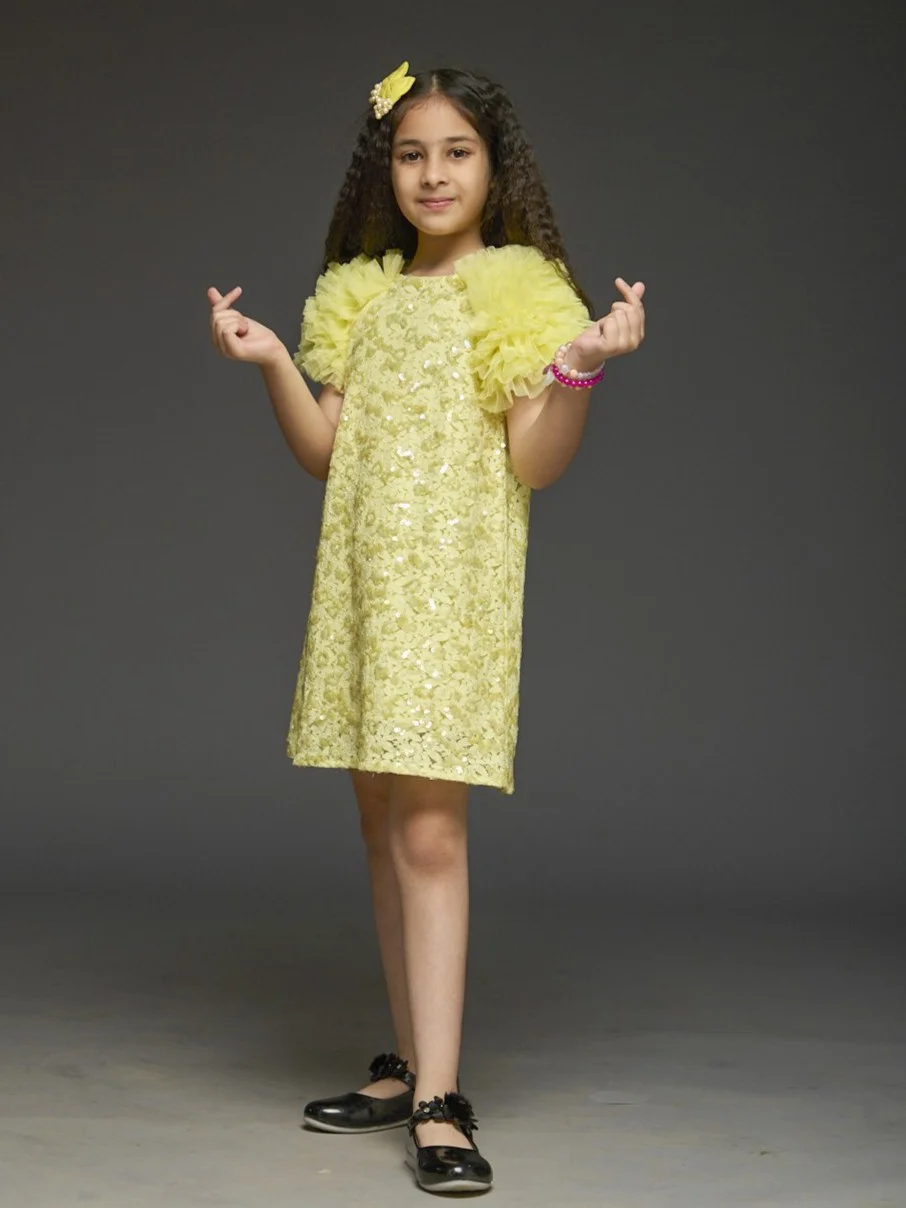 Kidsdew Partywear Lace Dress with Frill Sleeves view 3
