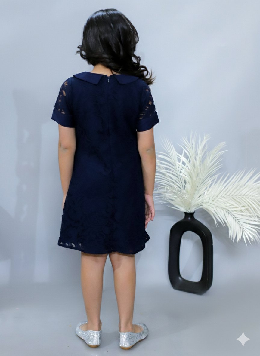 Half Sleeves Knee Length A-Line Design Net Dress With Peterpan Collar Navy view 2