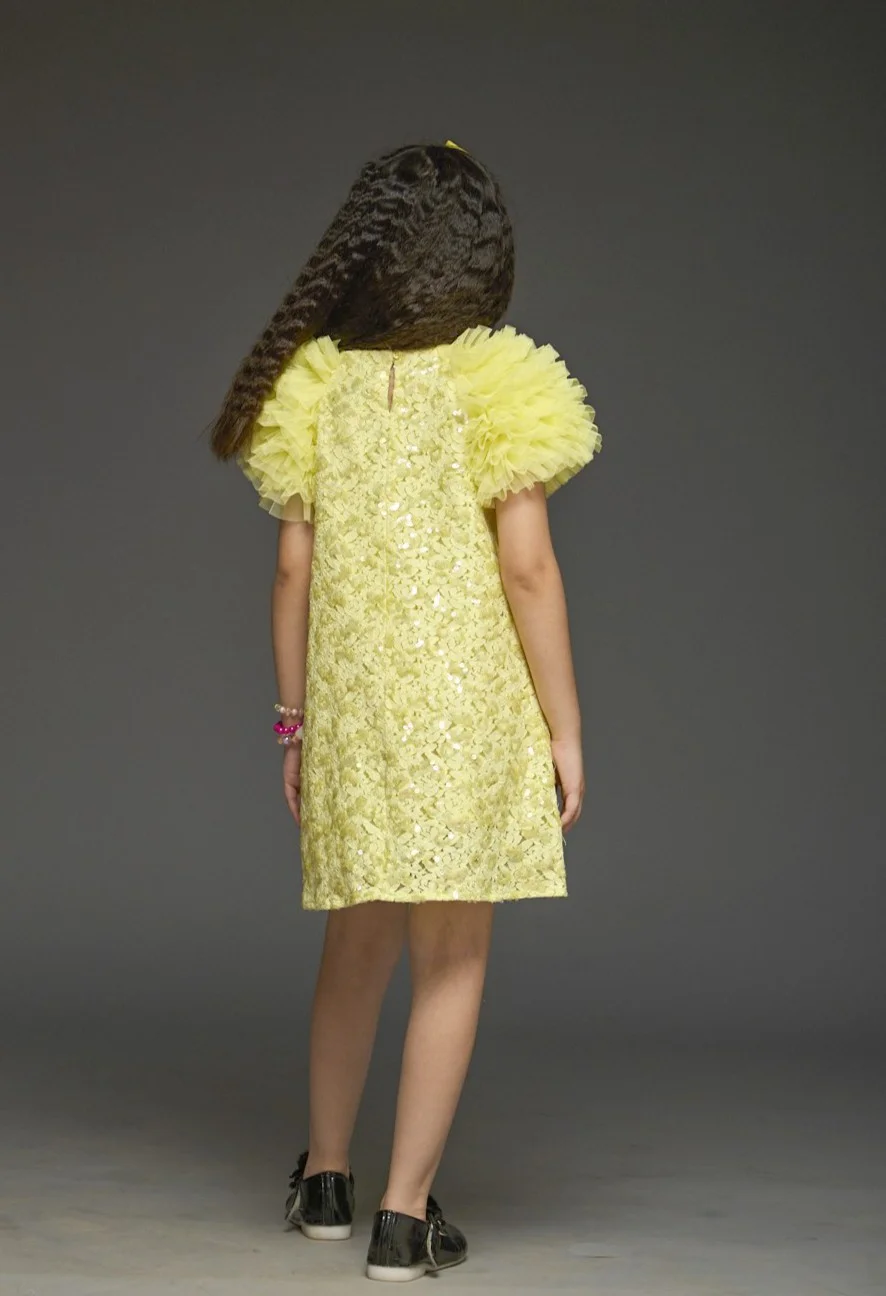 Kidsdew Partywear Lace Dress with Frill Sleeves view 4