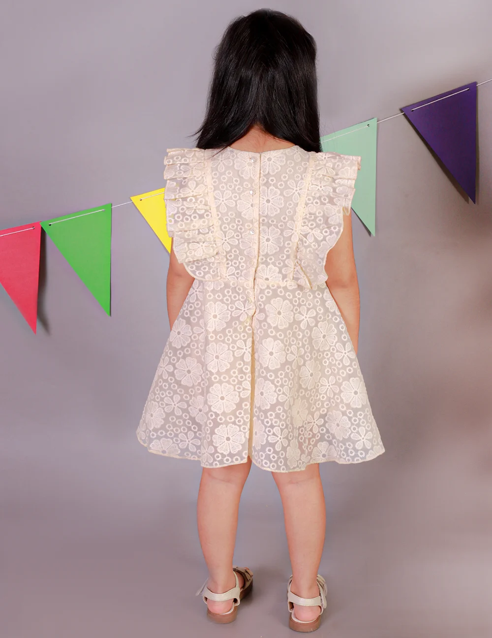 Elegant Beige Embroidered Organza Dress view 4