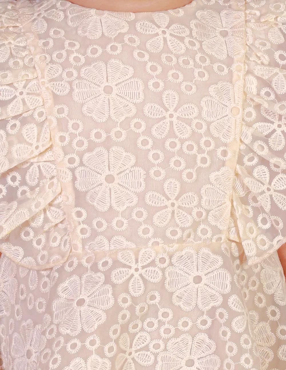 Elegant Beige Embroidered Organza Dress view 5