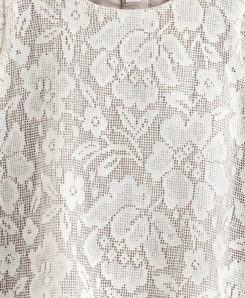 Timeless Elegance: Lace A-Line Dress view 5