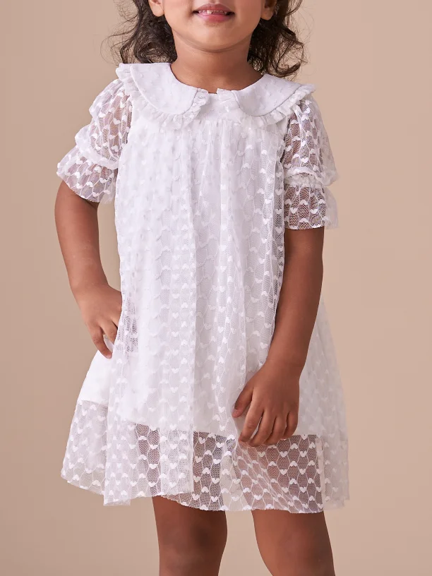 Dobby Net Half Sleeves A-Line Above Knee Length Dress with Collar White view 2