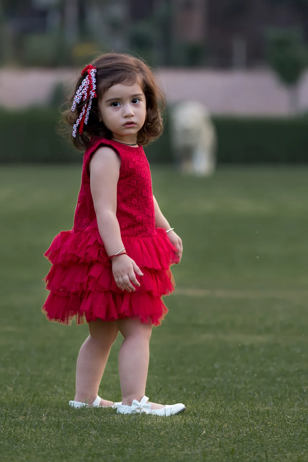 Stunning Red Design Net Fit and Flare Party Dress view 2