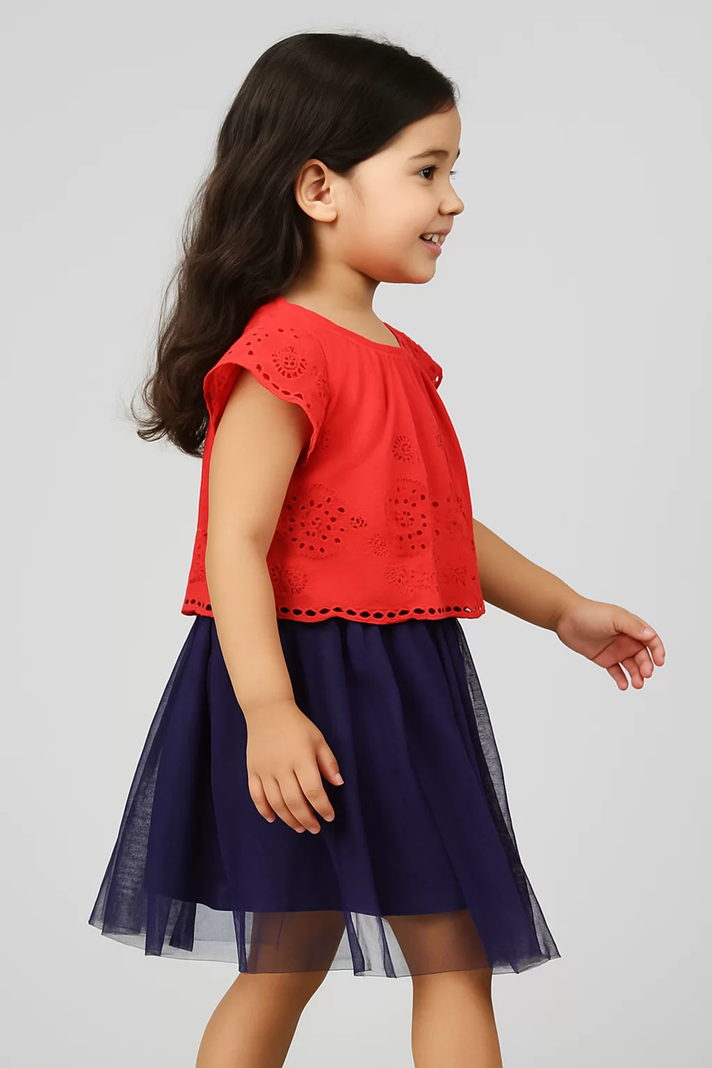 Timeless Elegance: Red & Blue Schiffli Cotton Dress view 3