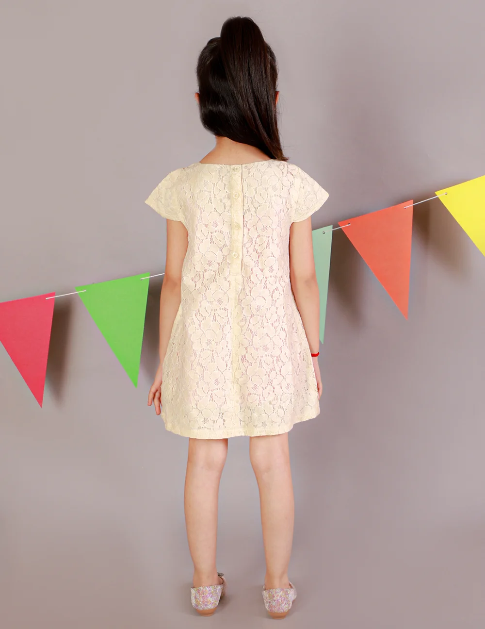 Timeless Elegance: Lace A-Line Dress view 4