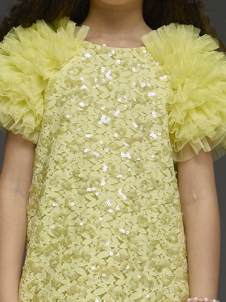 Kidsdew Partywear Lace Dress with Frill Sleeves view 5