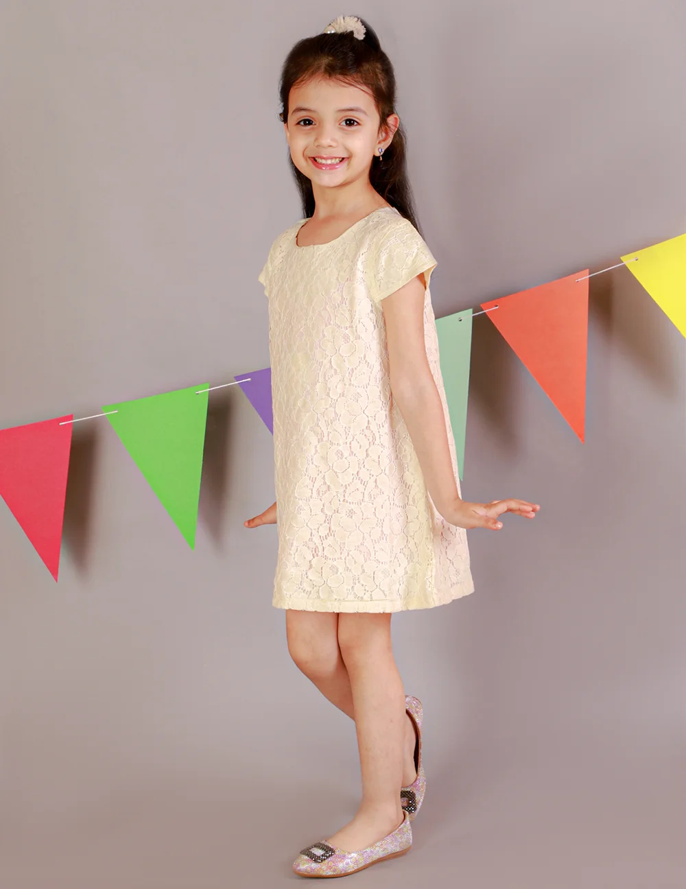 Timeless Elegance: Lace A-Line Dress view 2