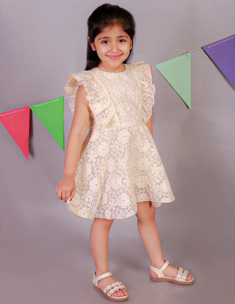 Elegant Beige Embroidered Organza Dress view 3